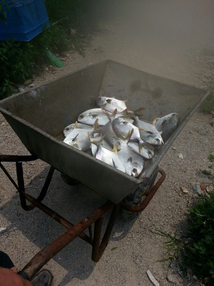 KakaoTalk_20140618_122746440.jpg