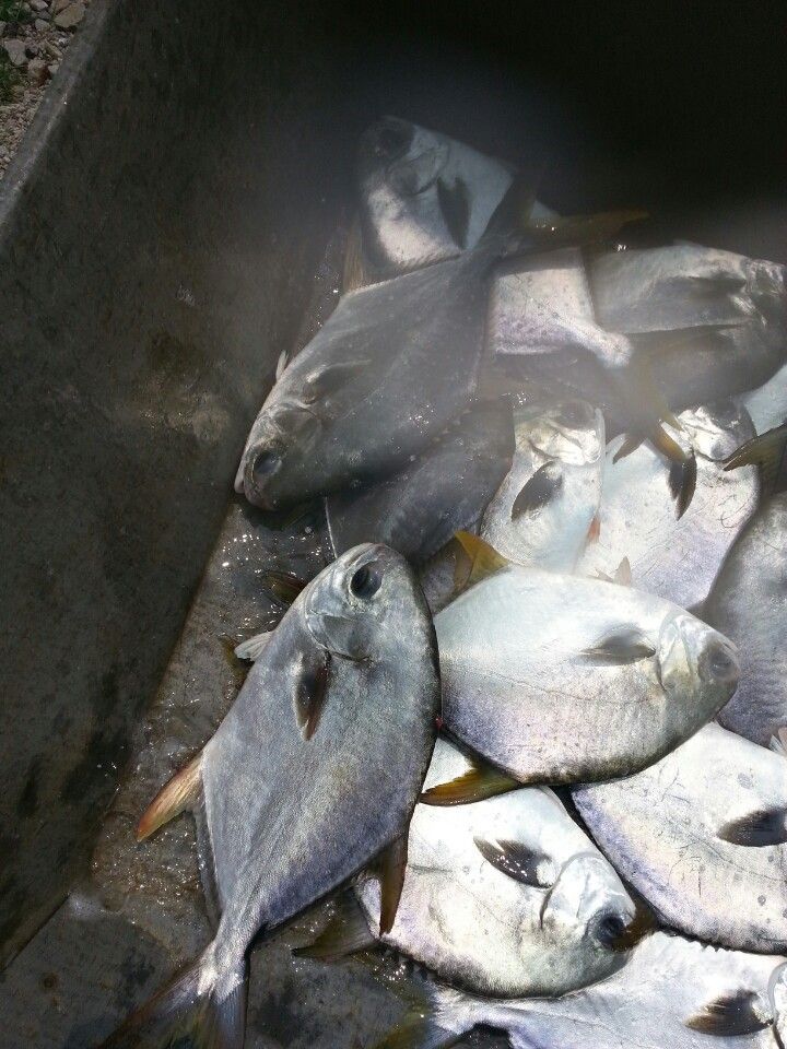 KakaoTalk_20140618_122746533.jpg