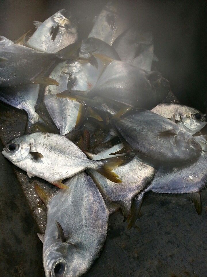 KakaoTalk_20140618_122747476.jpg