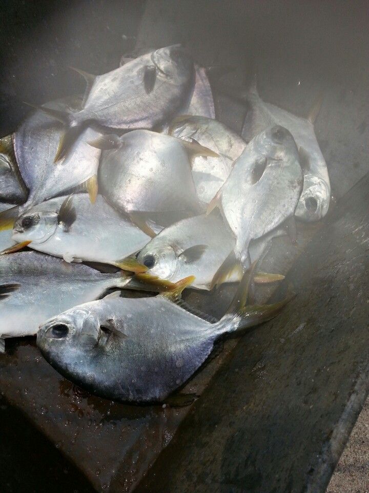 KakaoTalk_20140618_122747490.jpg