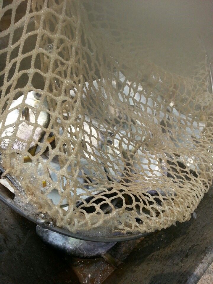 KakaoTalk_20140618_122809667.jpg