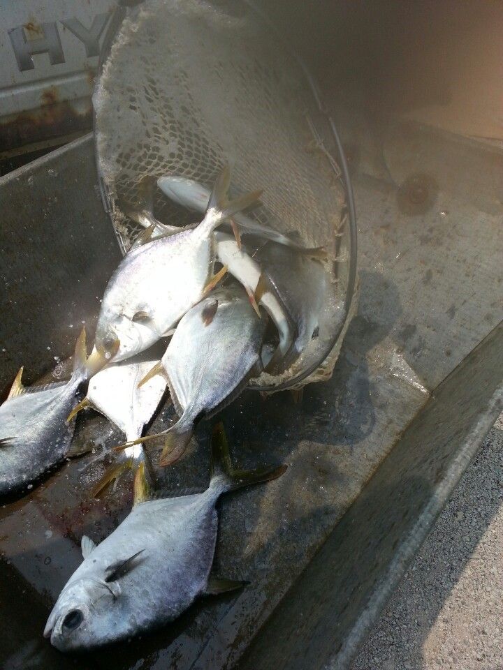 KakaoTalk_20140618_122809630.jpg