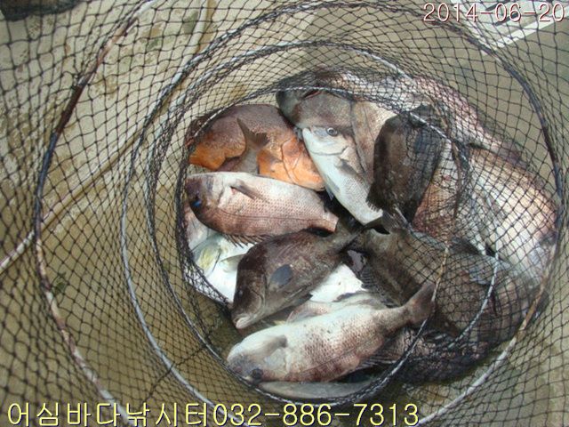 ����2 002.jpg