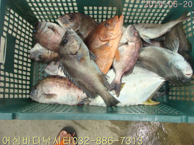 ����2 003.jpg