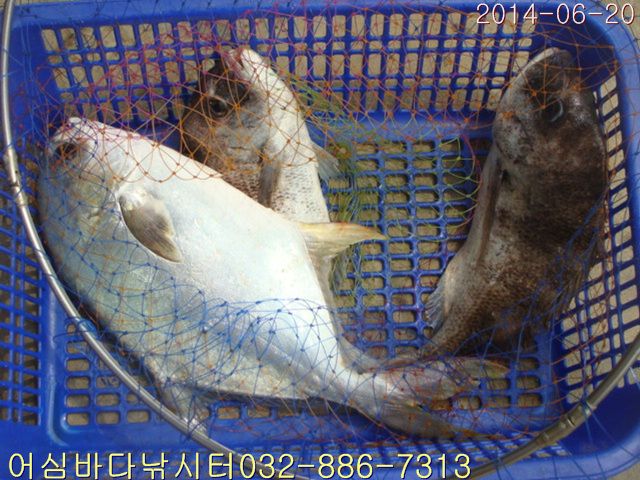 ����2 004.jpg