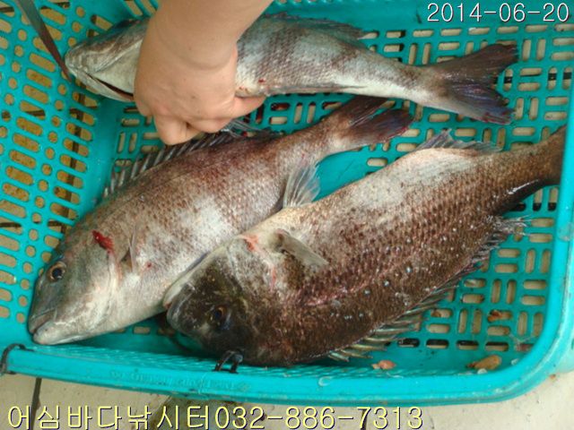 ����2 006.jpg