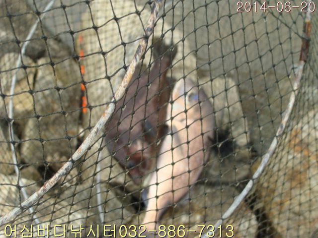 ����2 008.jpg