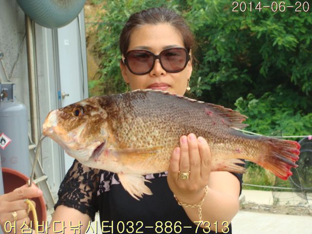 ����2 007.jpg