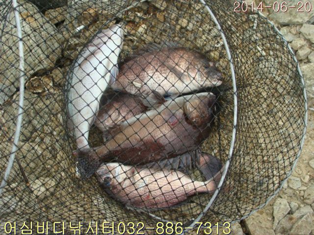 ����2 010.jpg