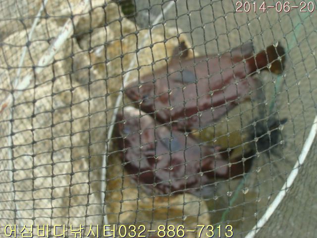 ����2 009.jpg