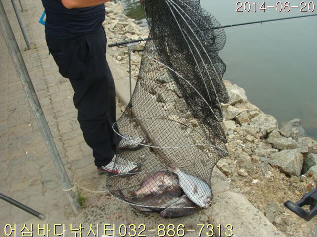 ����2 011.jpg