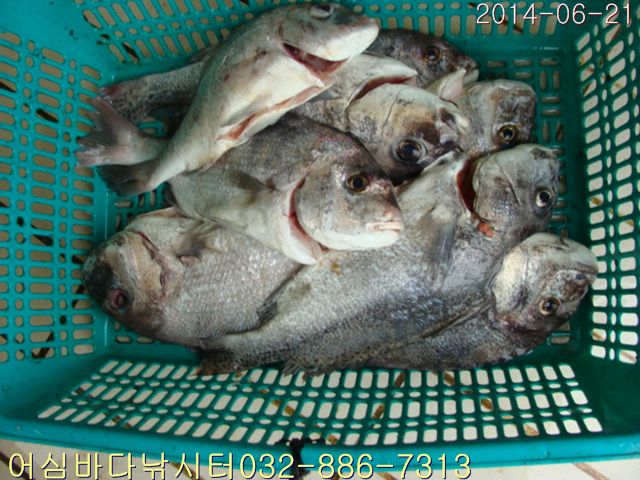 ����2 002.jpg