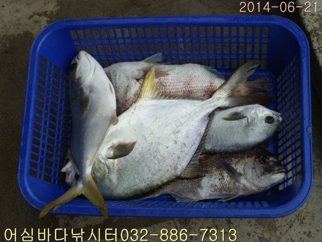 ����2 009.jpg