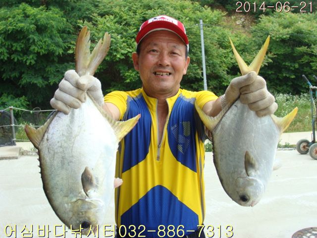 ����2 010.jpg