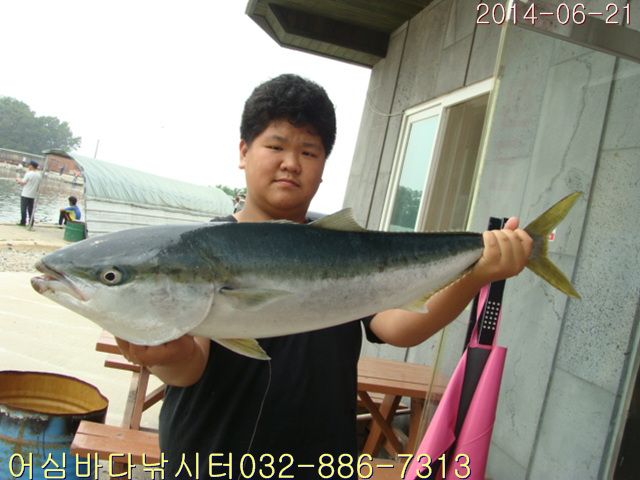 ����2 017.jpg