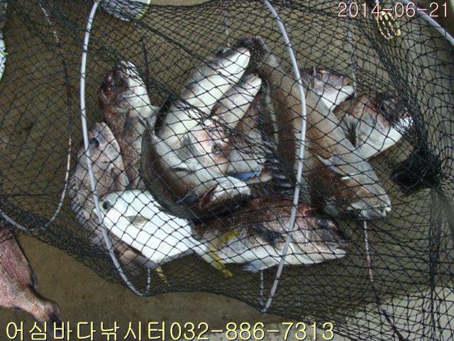 ����2 021.jpg