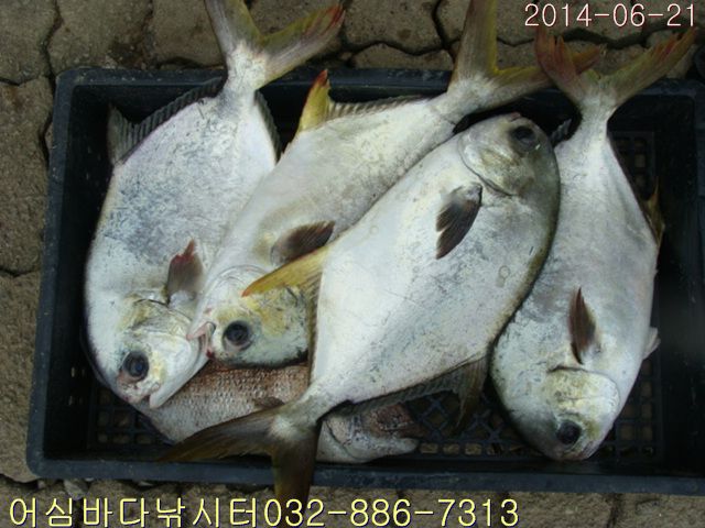 ����2 024.jpg