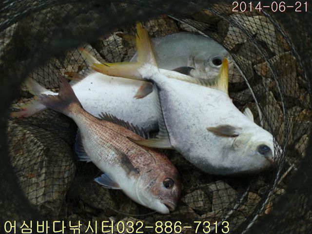 ����2 029.jpg