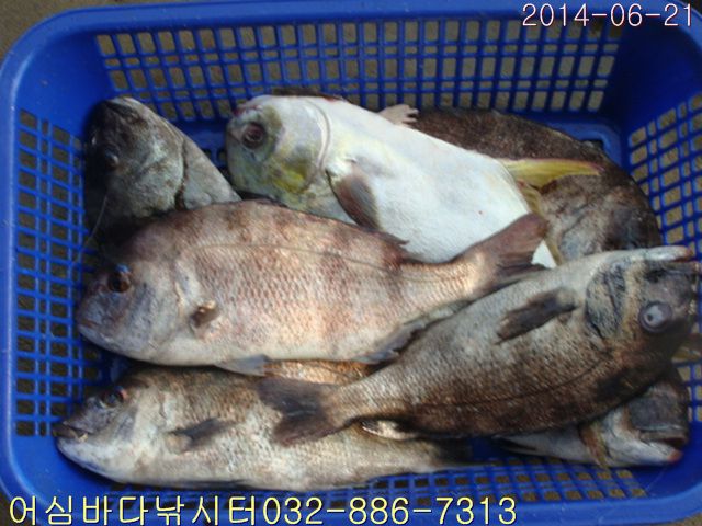 ����2 027.jpg