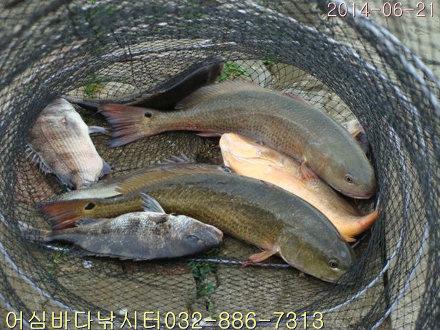 ����2 030.jpg