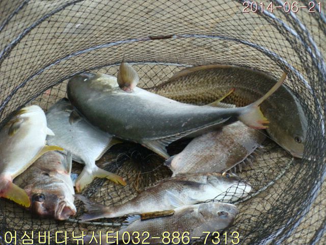 ����2 033.jpg