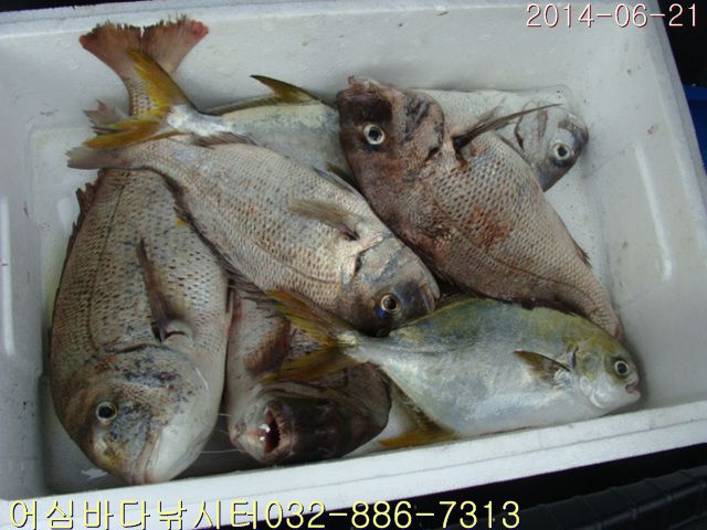 ����2 036.jpg