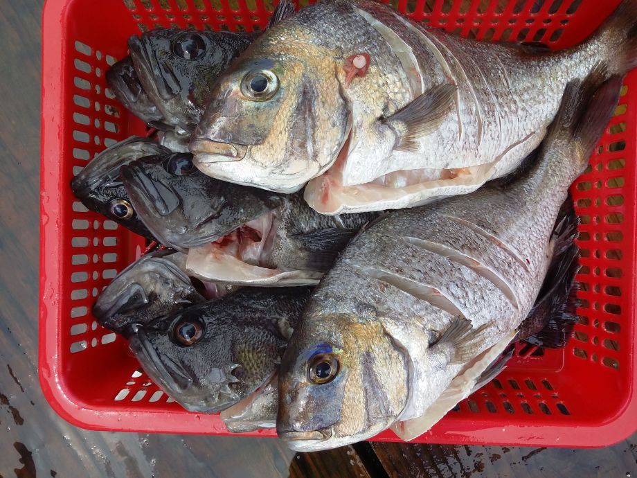 ���û��� 051.jpg