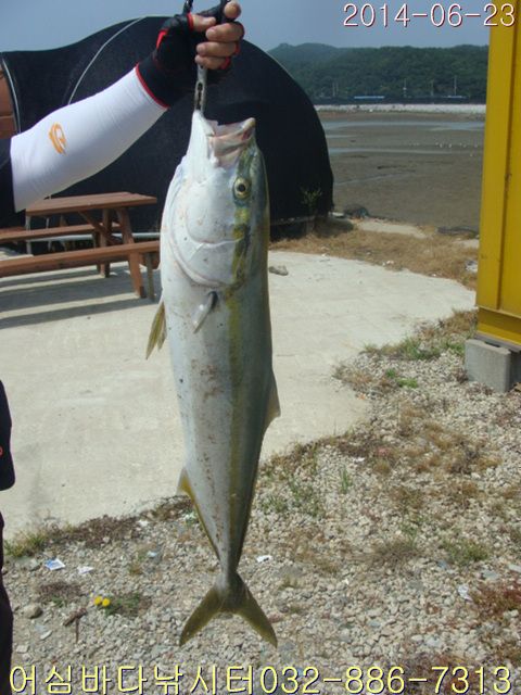 2 003.jpg