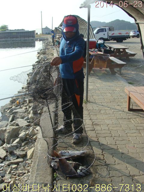 2 005.jpg