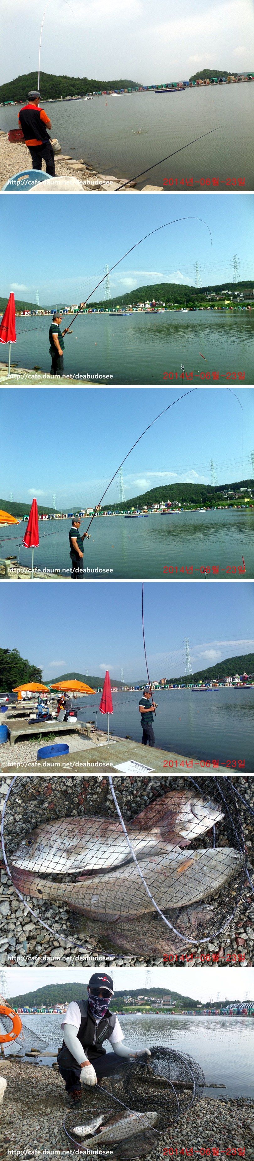 SAM_6840-vert.jpg