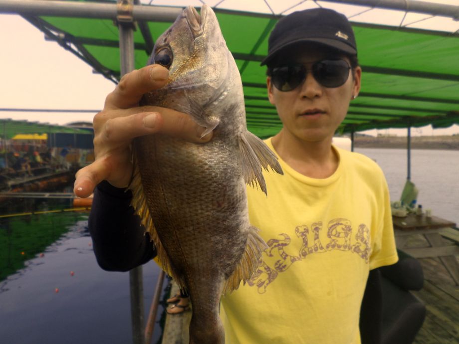 SAM_0394.JPG