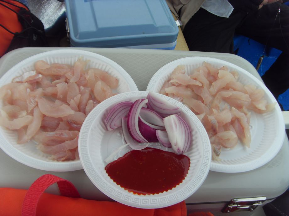 SDC11524.JPG