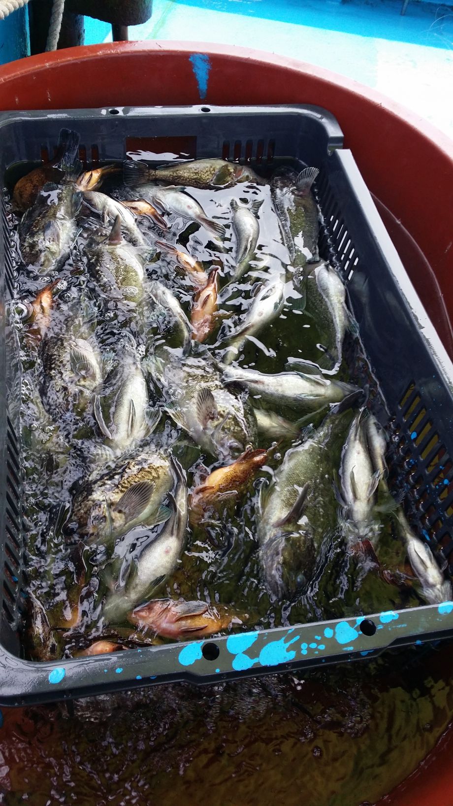 20140622_105110.jpg