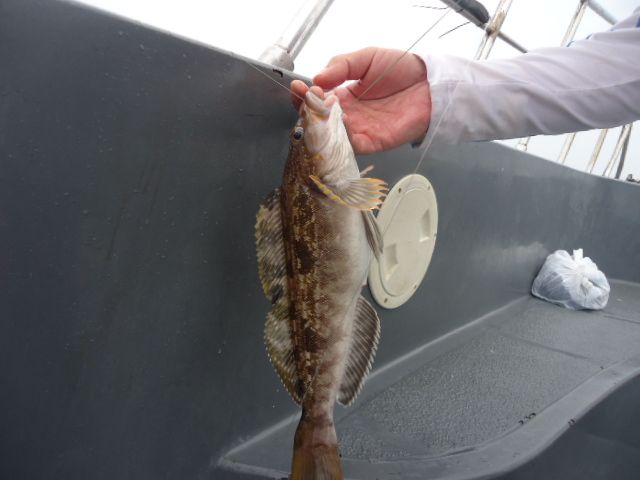 14��7��6�� �Ͽ��Ϸ�� 003.jpg