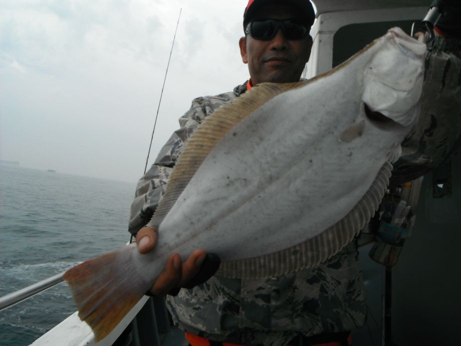 14��7��6�� �Ͽ��Ϸ�� 010.jpg