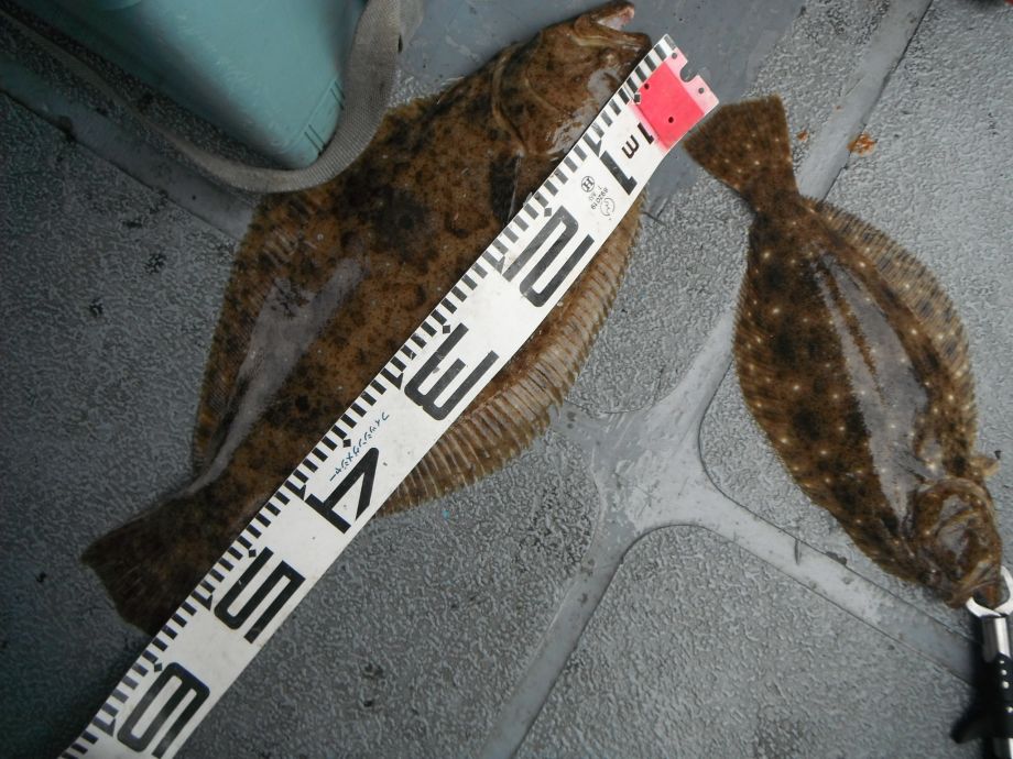 14��7��6�� �Ͽ��Ϸ�� 012.jpg