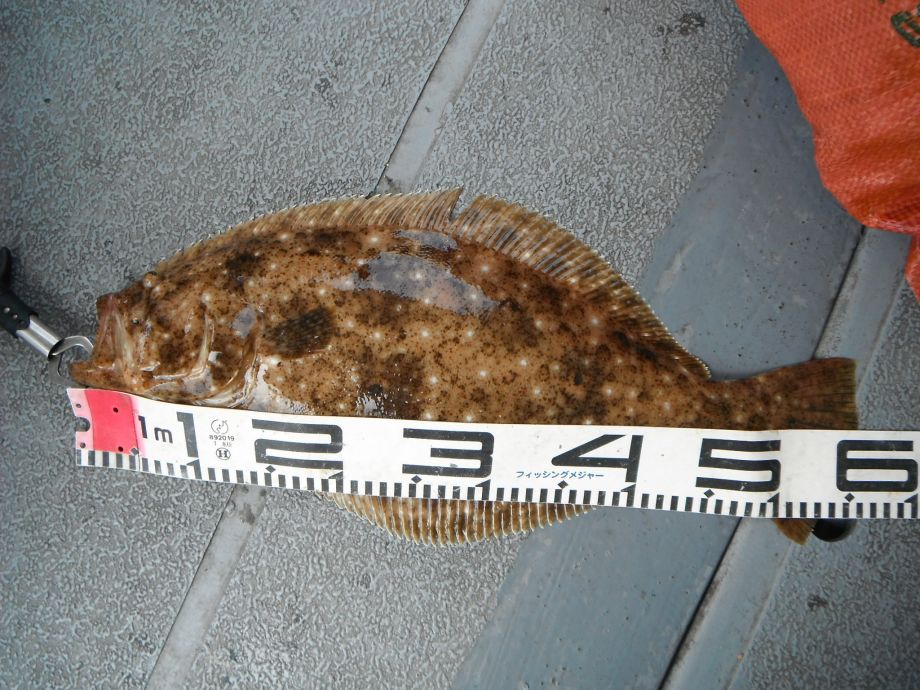 14��7��6�� �Ͽ��Ϸ�� 020.jpg