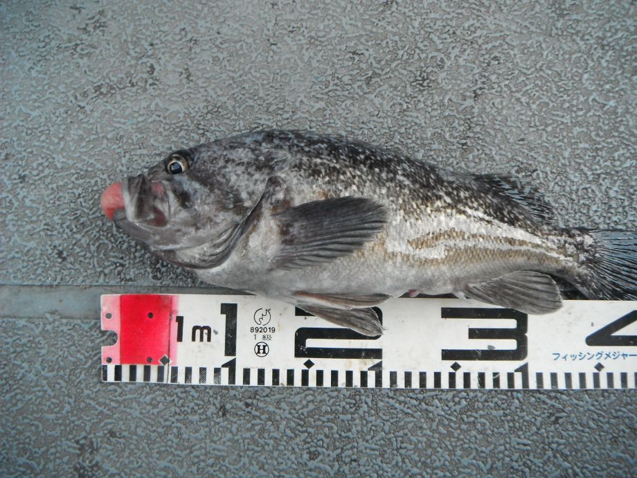 14��7��6�� �Ͽ��Ϸ�� 022.jpg