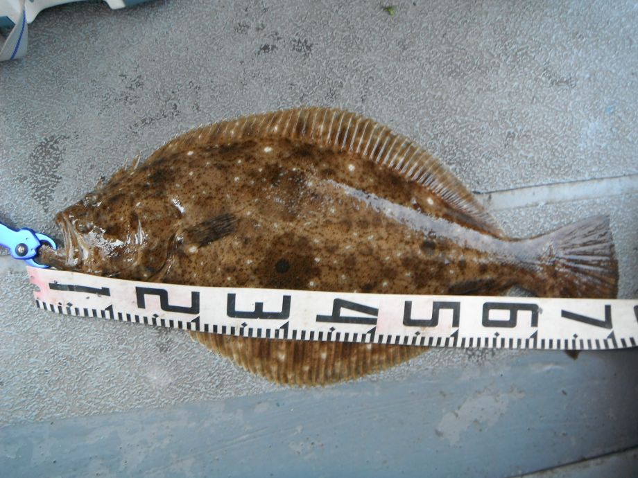 14��7��6�� �Ͽ��Ϸ�� 027.jpg