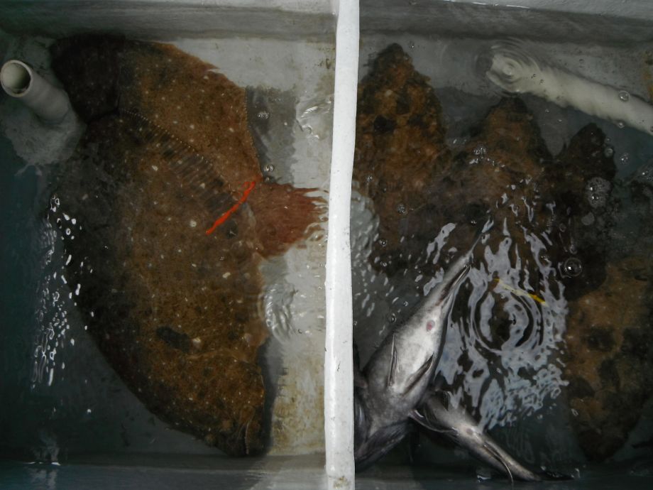 14��7��6�� �Ͽ��Ϸ�� 033.jpg