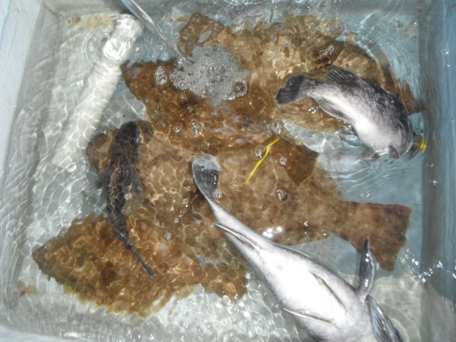 14��7��6�� �Ͽ��Ϸ�� 034.jpg