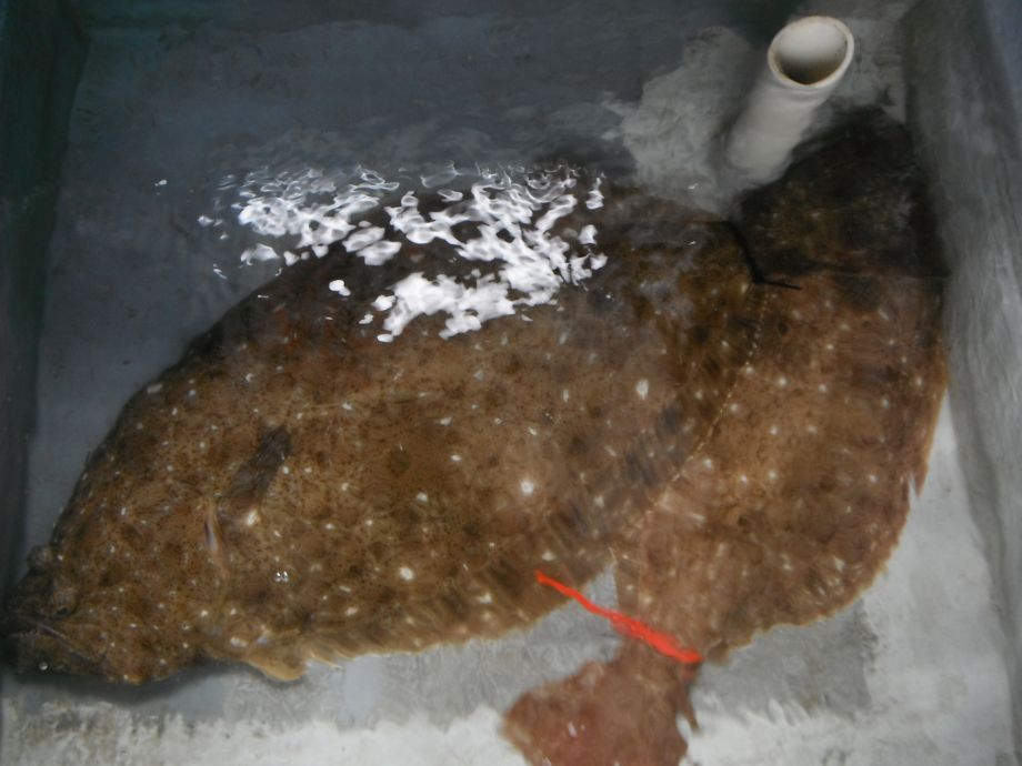 14��7��6�� �Ͽ��Ϸ�� 035.jpg