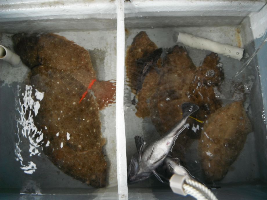 14��7��6�� �Ͽ��Ϸ�� 036.jpg