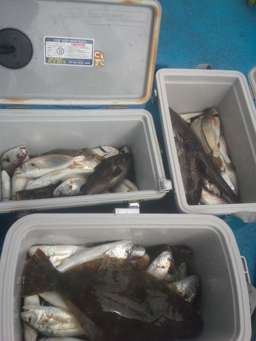 ũ�⺯ȯ_20140706_152517.jpg