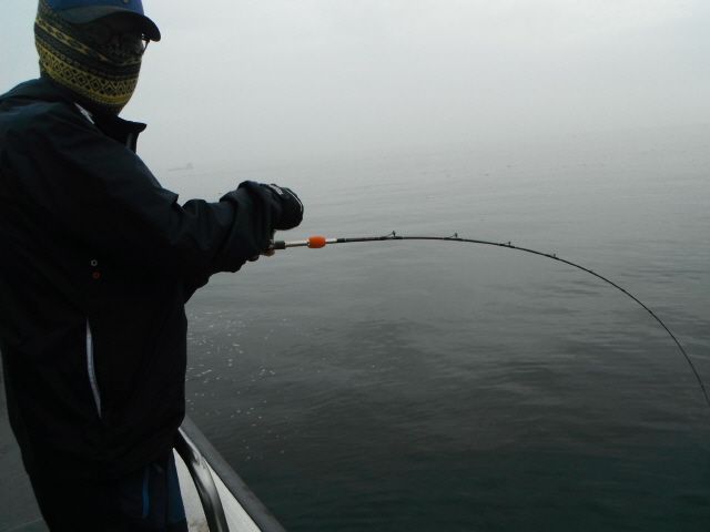 ũ⺯ȯ_1478ȭ~2 003.jpg