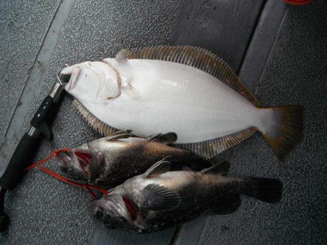 ũ⺯ȯ_1478ȭ~2 025.jpg