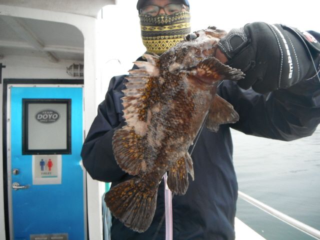 ũ⺯ȯ_1478ȭ~2 006.jpg