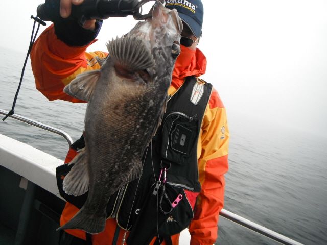 ũ⺯ȯ_1478ȭ~2 009.jpg