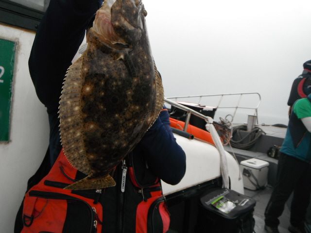 ũ⺯ȯ_1478ȭ~2 010.jpg