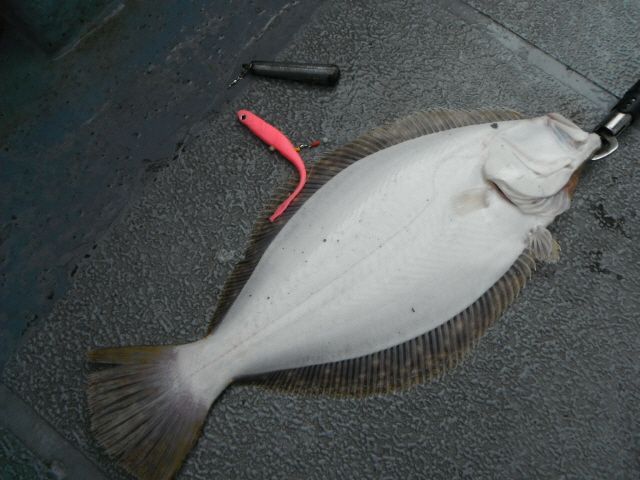 ũ⺯ȯ_1478ȭ~2 017.jpg